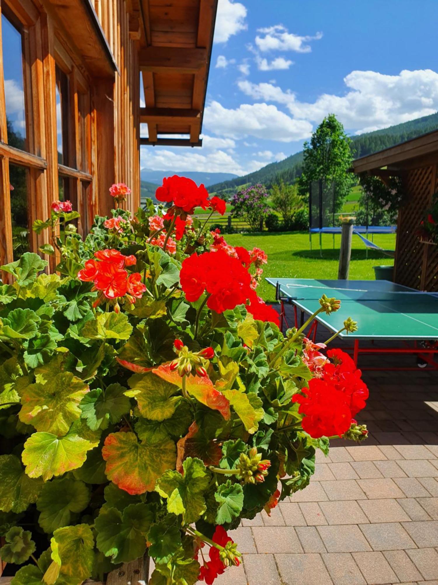 Ferienwohnungen Haus-Holzer Mauterndorf (Salzburg) Exterior foto